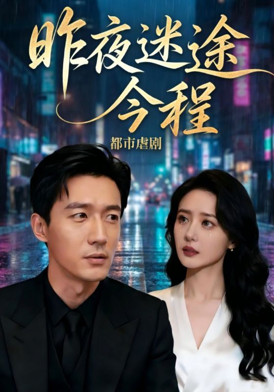 昨夜迷途今程封面图