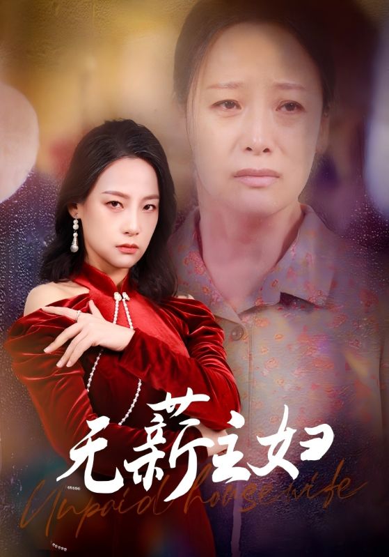 无薪主妇