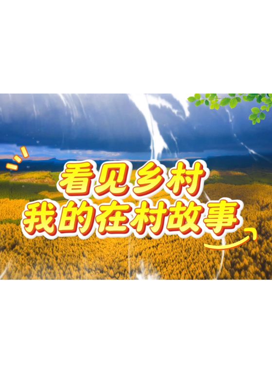 看见乡村，我的在村故事