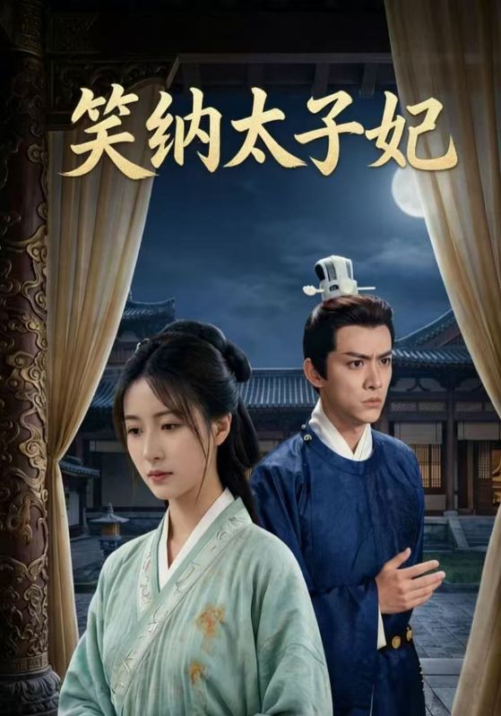 笑纳太子妃