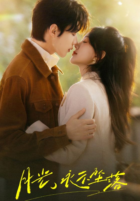 月光永不坠落封面图