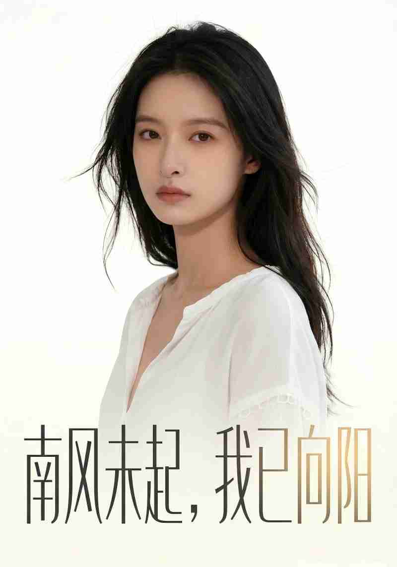 南风未起，我已向阳