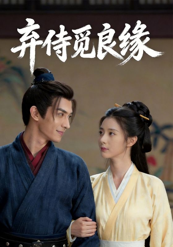 弃侍觅良缘封面图