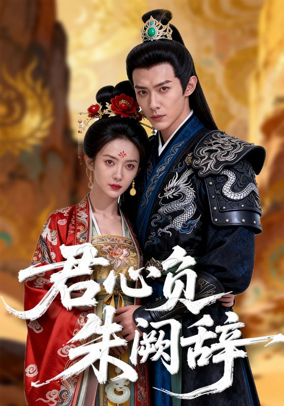 君心负朱阙辞封面图