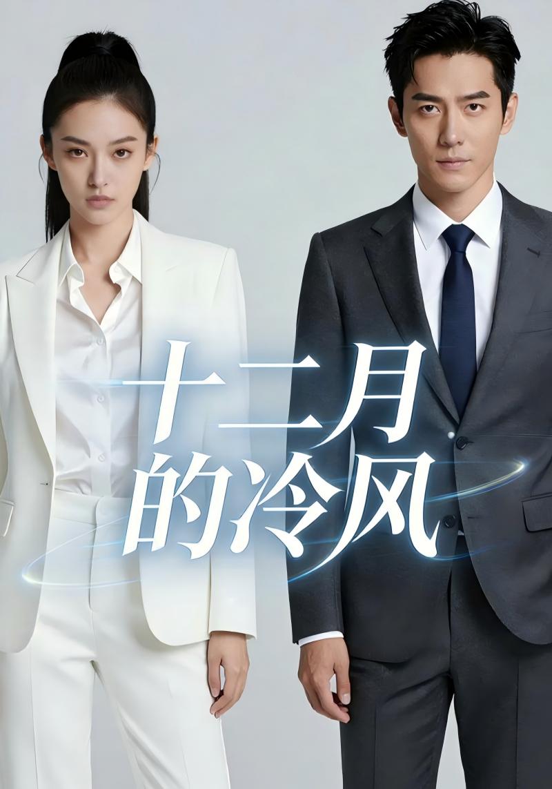 十二月的冷风