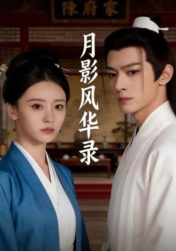 月影风华录