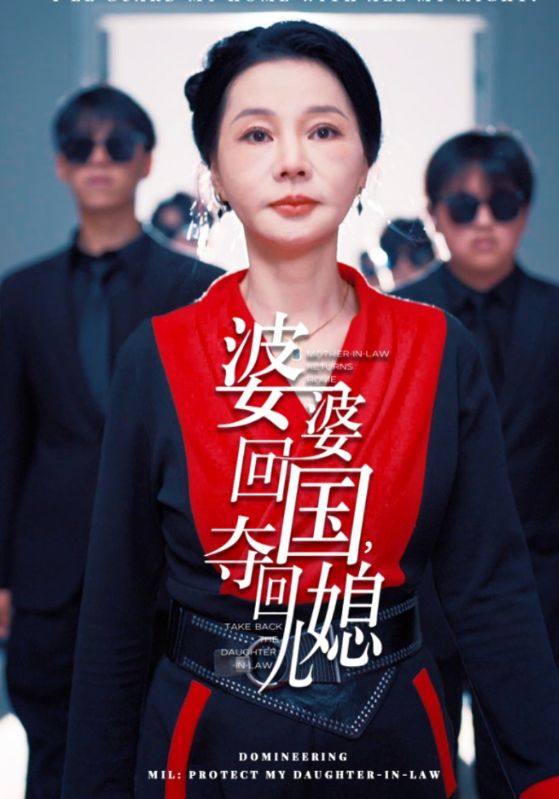 婆婆回国，夺回儿媳