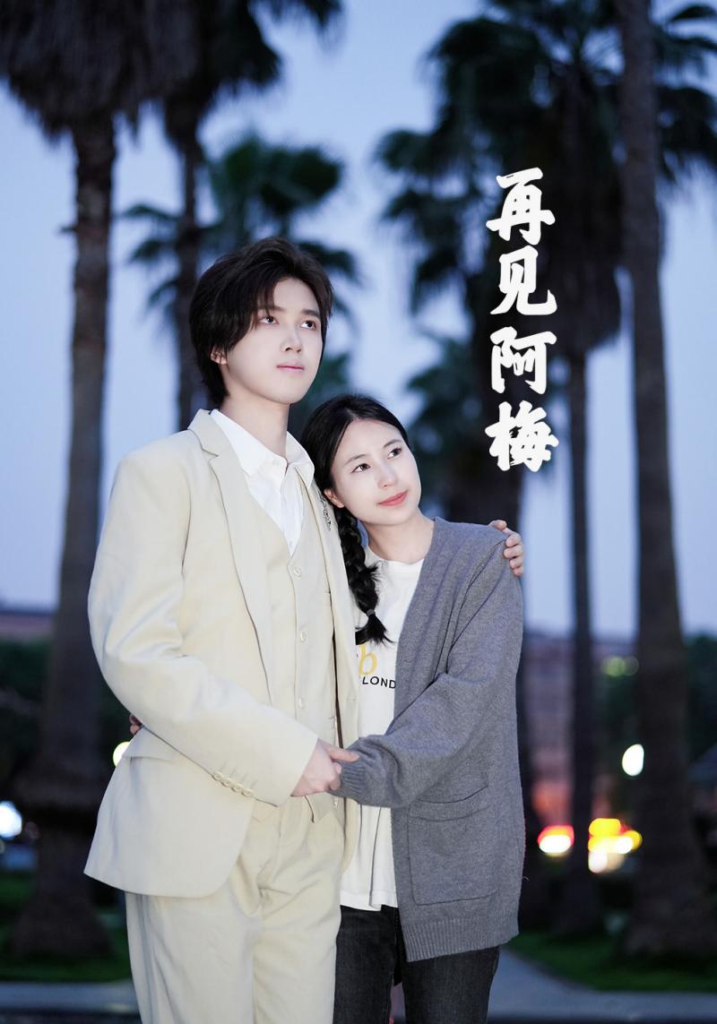 再见阿梅