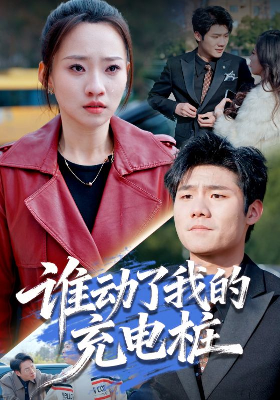 谁动了我的充电桩