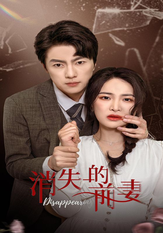 消失的前妻