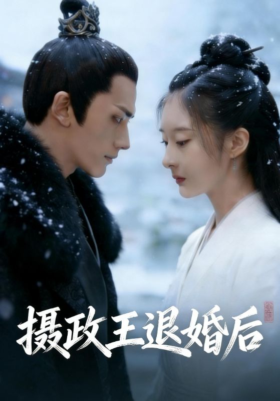 摄政王退婚后