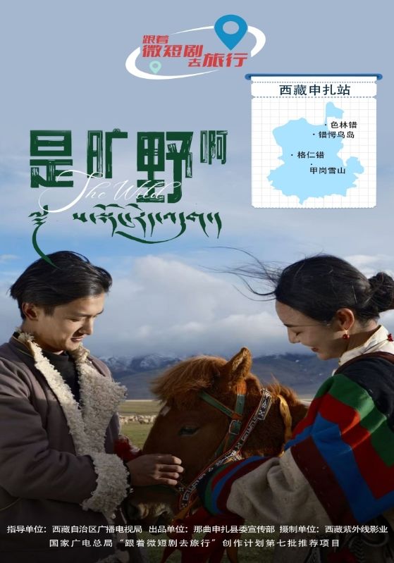 是旷野啊