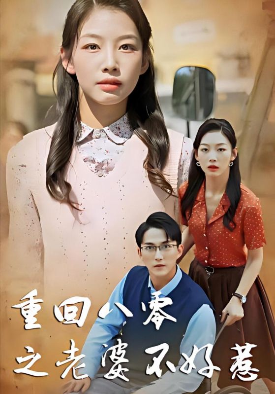重回八零之老婆不好惹