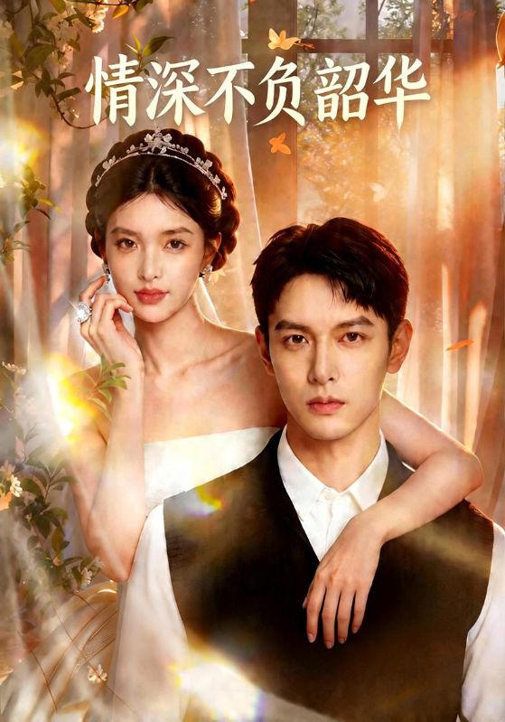 情深不负韶华封面图