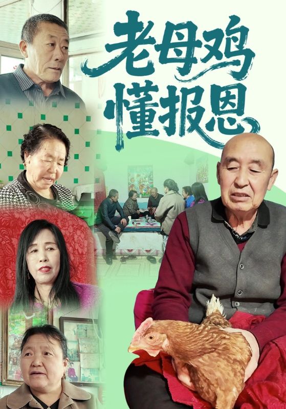 老母鸡懂报恩