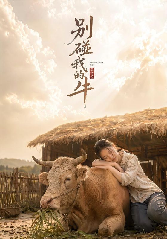 别碰我的牛封面图