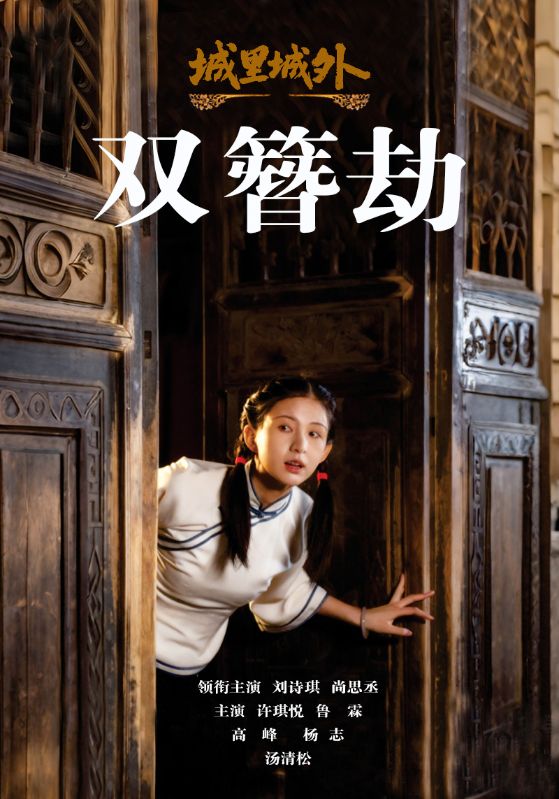 城里城外双簪劫