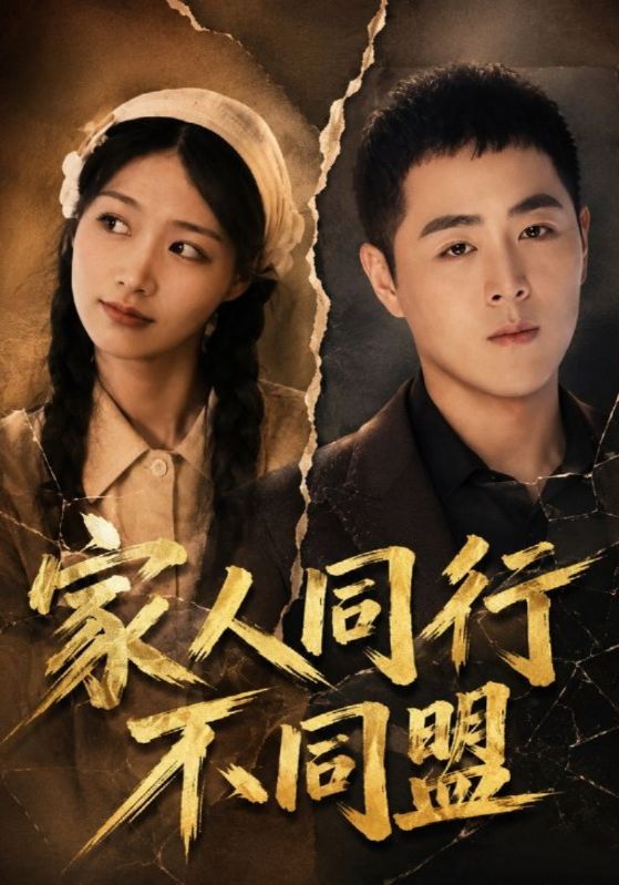 家人同行不同盟封面图