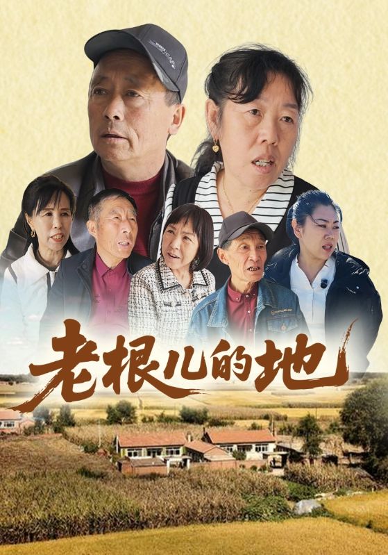 老根儿的地