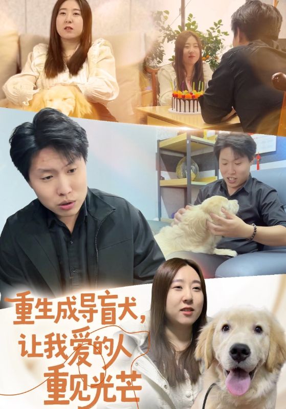 重生成导盲犬，让我爱的人重见光芒