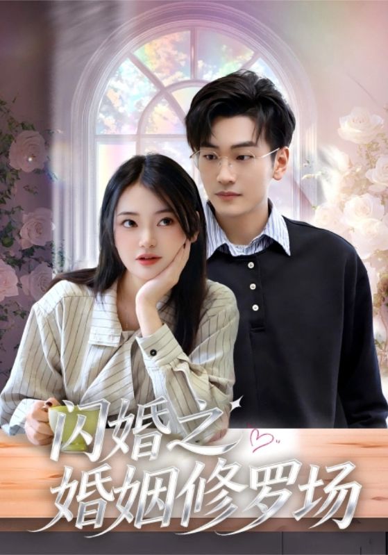 闪婚之婚姻修罗场