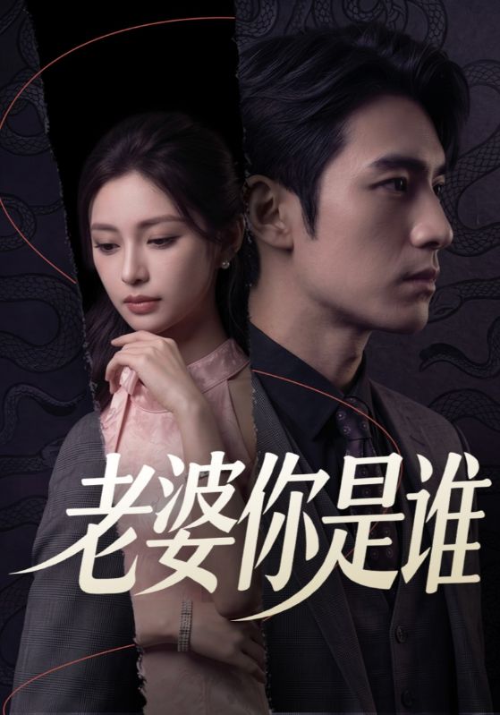 老婆你是谁