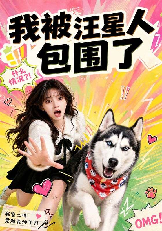 我被汪星人包围了