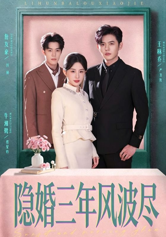隐婚三年风波尽