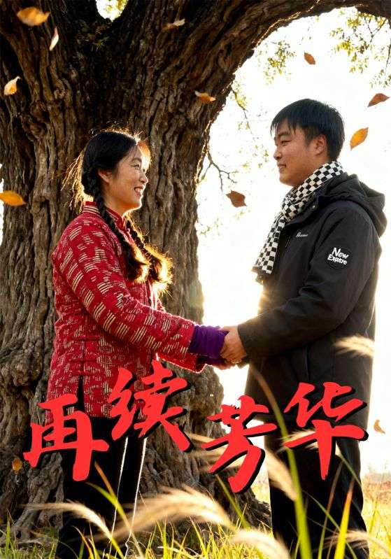 再续芳华
