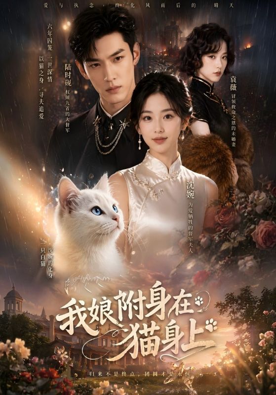 我娘附身在猫身上