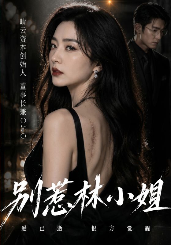 别惹林小姐