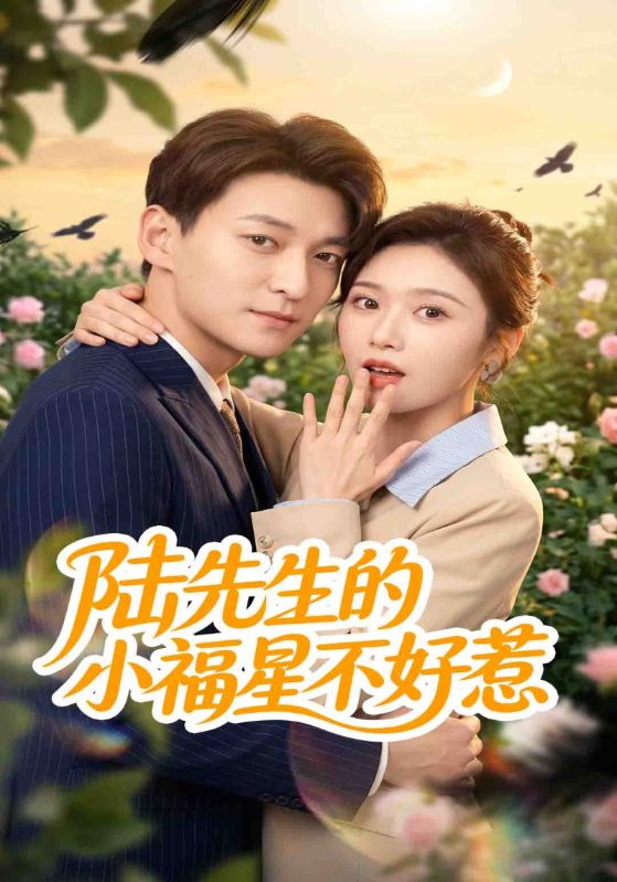 陆先生的小福星不好惹