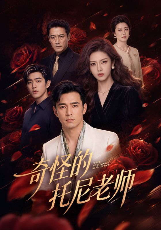 奇怪的托尼老师