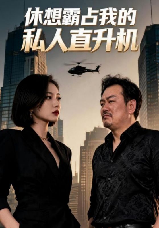 休想霸占我的私人直升机