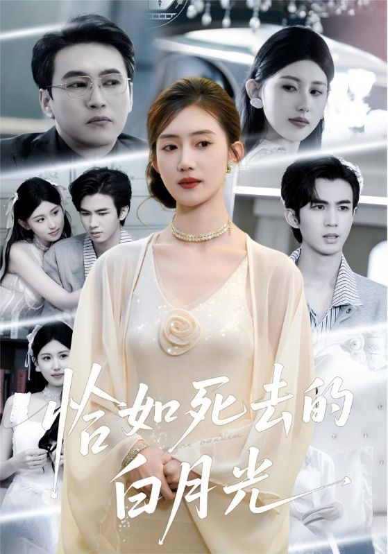 恰如死去的白月光