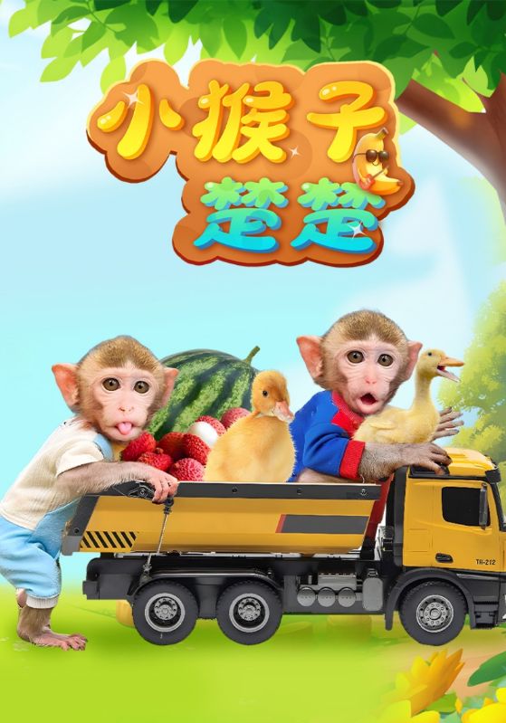 小猴子楚楚封面