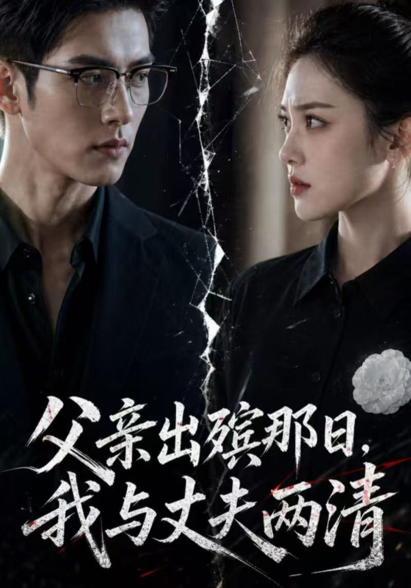 父亲出殡那日，我与丈夫两清封面