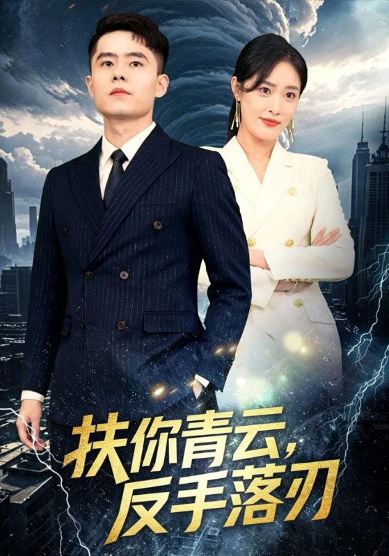 扶你青云,反手落刃
