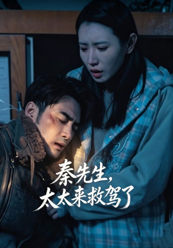 秦先生，太太来救驾了