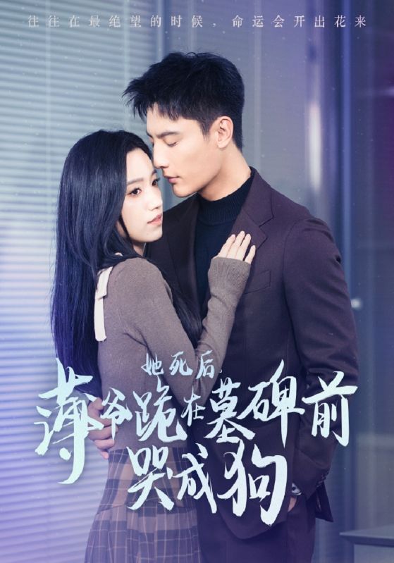 她死后，薄爷跪在墓碑前哭成狗