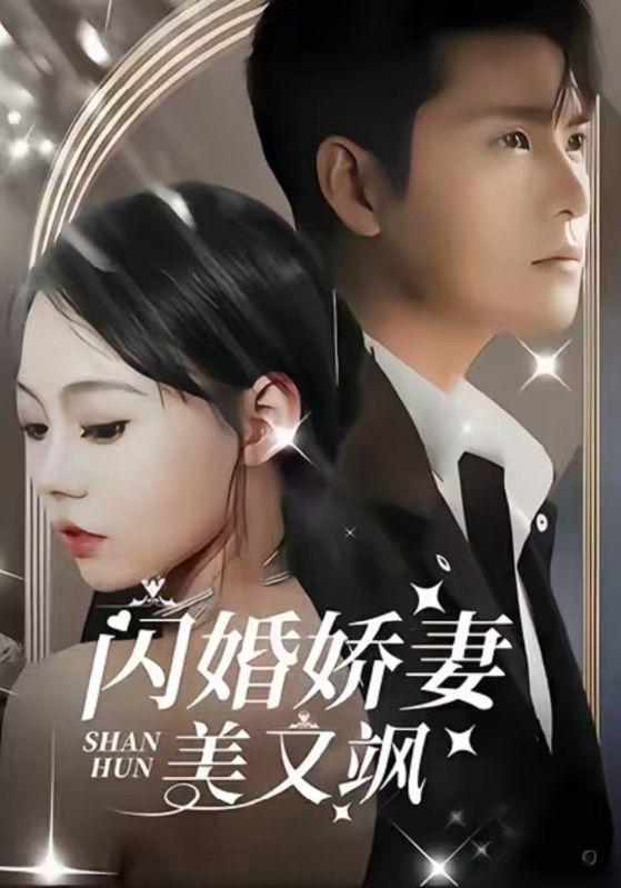 闪婚娇妻美又飒