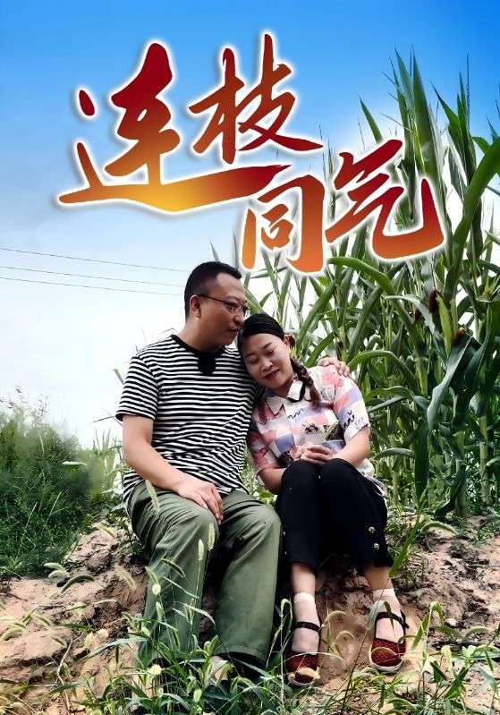连枝同气