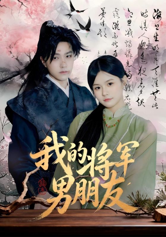 我的将军男朋友