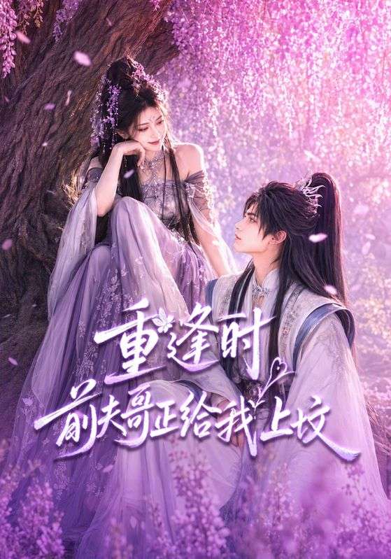 重逢时前夫哥正给我上坟