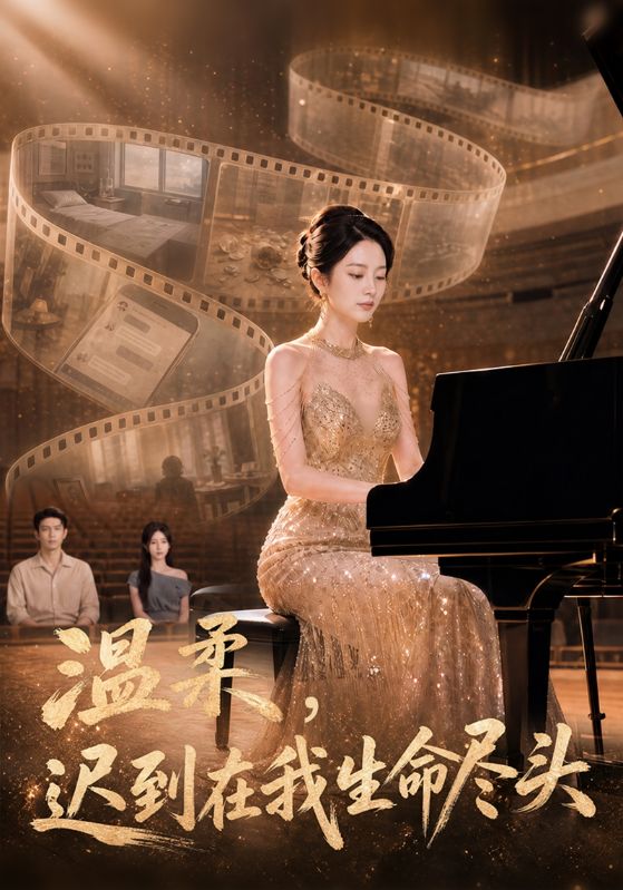 温柔，迟到在我生命尽头封面