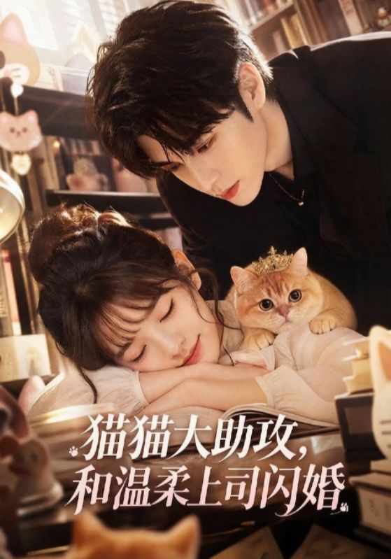 猫猫大助攻，和温柔上司闪婚