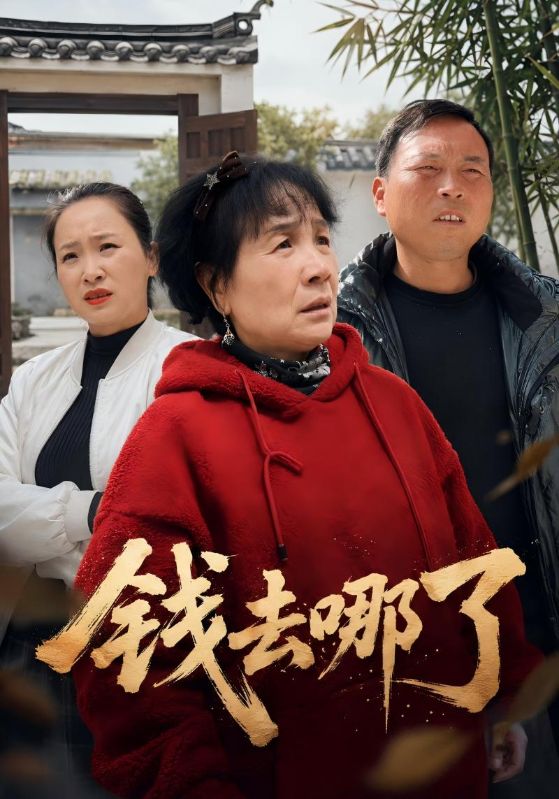 钱去哪了封面