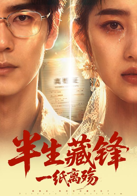 半生藏锋，一纸离殇