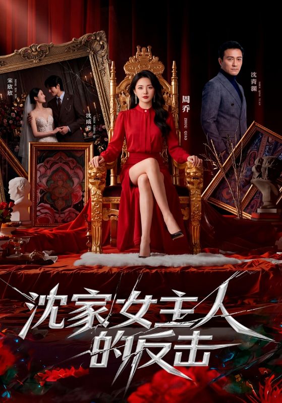 沈家女主人的反击