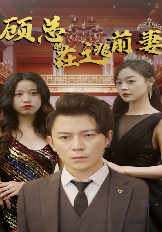 顾总的在逃前妻